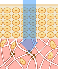 Pufiily（パフィリィ）モイスチャアミスト　デリバリー効果のイラスト